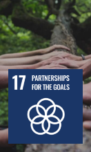 partnerships for the goals Image